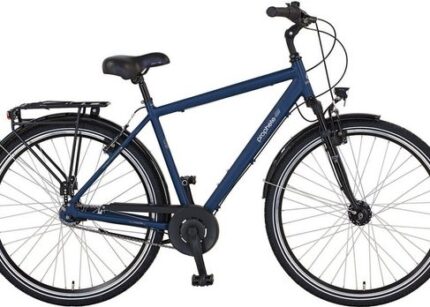 Prophete Cityrad »21.BMC.10 Herren City Bike 7G«