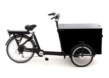 Babboe Pro Trike-E 300L RB/HD 450